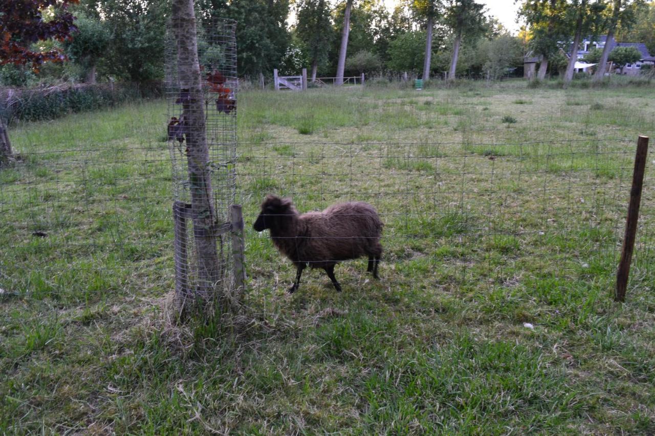 De Galerie - Landgoed Rijckholt Villa Geersdijk Kültér fotó